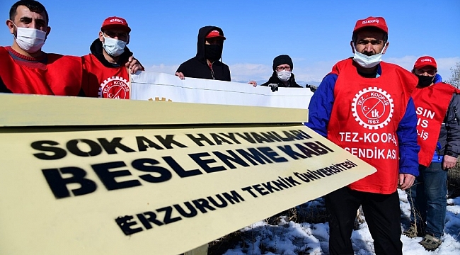 Tez-Koop-İş'ten, ETÜ'nün sokak hayvanlarına yönelik uygulamasına destek