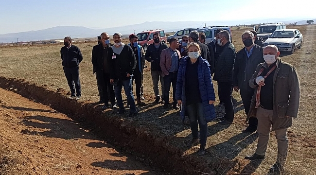 Tıbbi ve aromatik bitkilerin ekimi yaygınlaştırılıyor