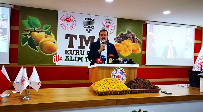 TMO mağazalarında Kayısı satışı başladı