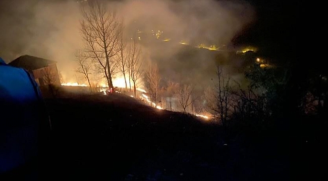 Türkeli'de orman yangını