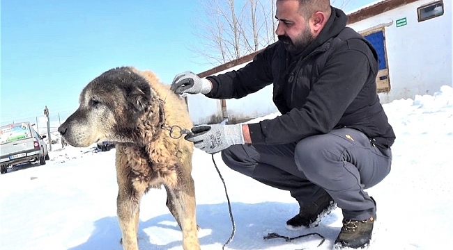 Türkiye'nin en yaşlıları arasında, yıllara meydan okuyor