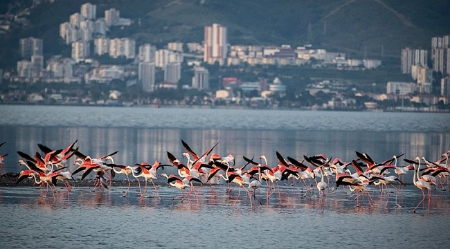 Türkiye'nin ilk Yeşil Şehir Eylem Planı İzmir için hazırlandı
