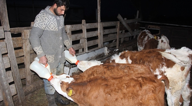 Üniversiteyi bitirip çiftçilik yaparak kendi işinin patronu oldu