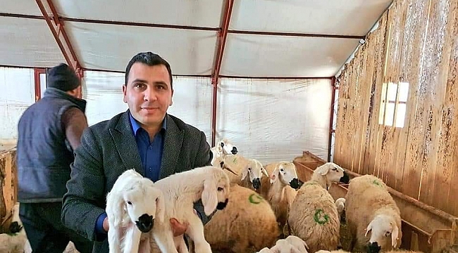 Valilik projesi ile sürü sahibi oldu