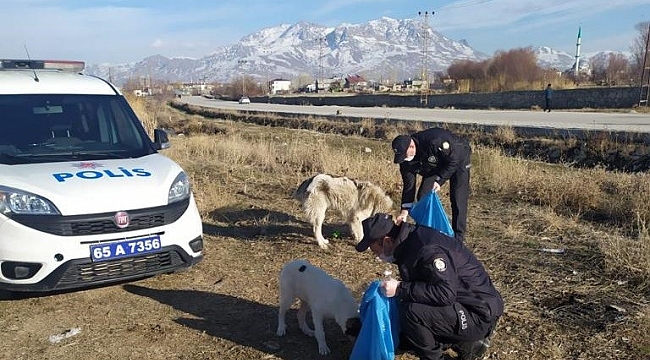 Van polisi sokak hayvanlarını kendi elleriyle besledi
