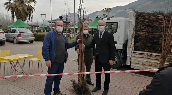 Vatandaşlara 3 bin adet hurma fidanı dağıtıldı