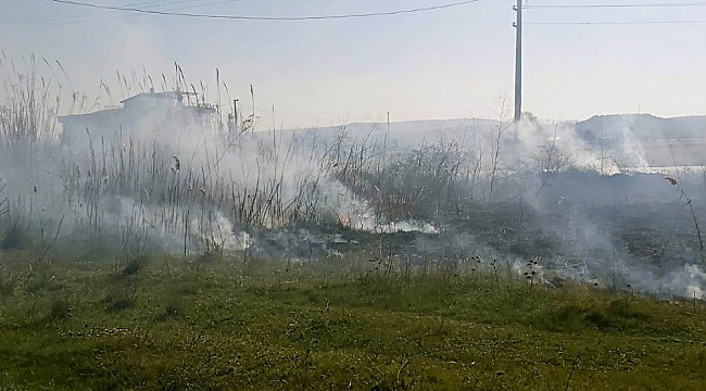 Yangın Gömeç sahilini duman altında bıraktı