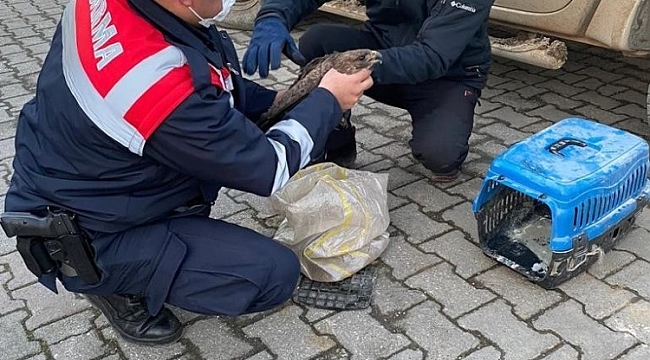 Yaralı Doğan'a jandarma şevkati