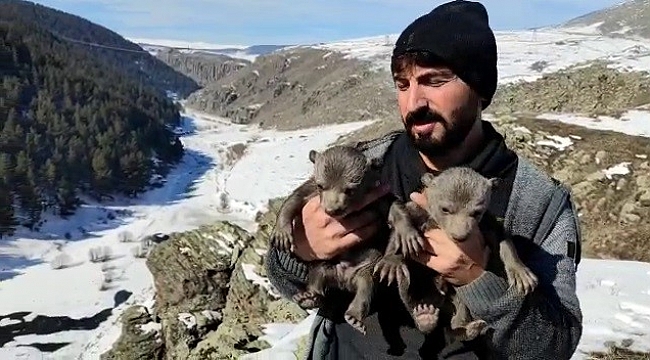 Yavru ayıları mağarasında besledi