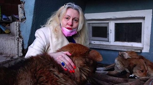Yavru köpekler için bahçesine kulübe yaptırdı, bakımını üstlendi