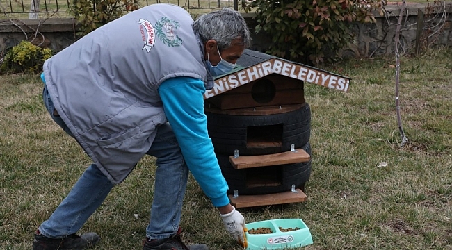 Yenişehir Belediyesi çöp konteynırı üretiminde sonra kedi evi yapmaya başladı