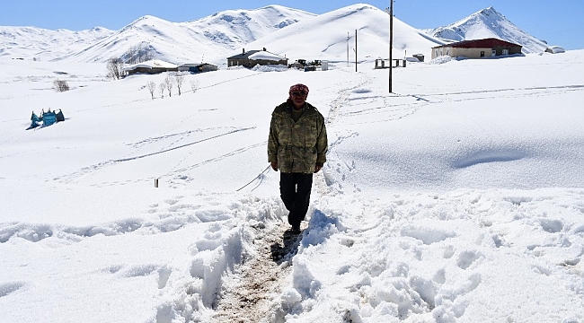 Yıllardır karlı dağlarda hayvanlarıyla iç içe yaşıyor