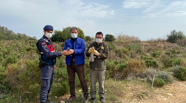 Yırtıcı kuş yakalayan şahsa 19 bin 933 lira ceza