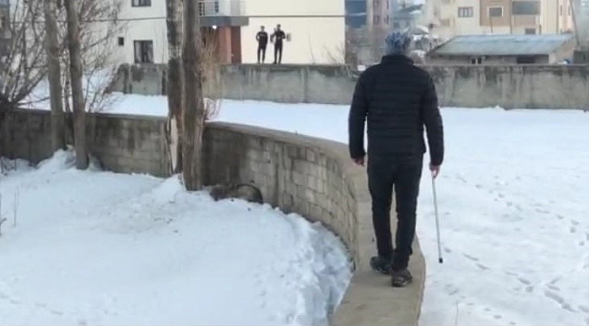 Yüksekova'da şehir merkezine inen kurt korkuttu