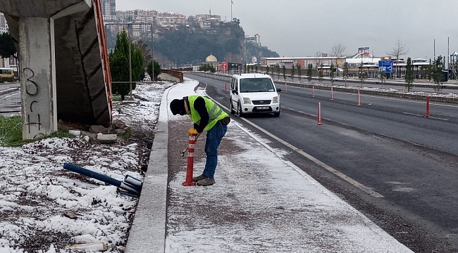 Zarar gören dubalar bakıma alındı