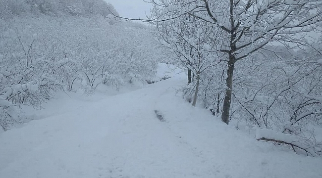 Zonguldak'ta 165 köy yolu ulaşıma kapandı