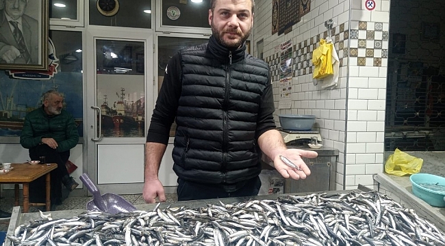 Zonguldak'ta tezgahlar hamsilerle doldu