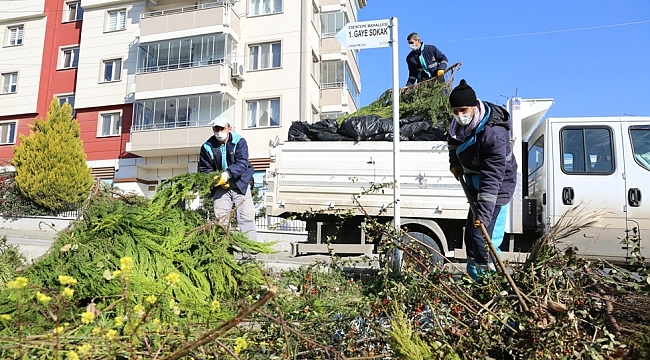 15 bin ton budama atığı gübre oldu