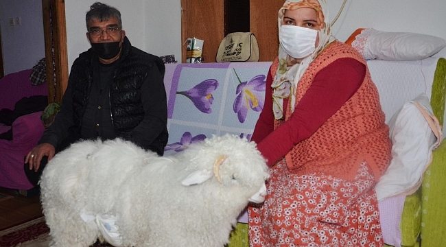 23 yıldır evlat hasretlerini Boncuk'la giderdiler
