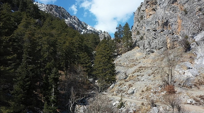 90 milyon yıllık fosillerin bulunduğu Alara-Geyik Dağı'nın milli park olması için başvuru yapıldı