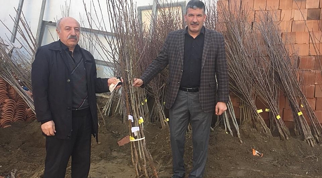 Akdağmadeni'nde meyve fidanı ve tohum satışına başlandı