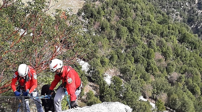 AKUT'tan 5 saatlik keçi kurtarma operasyonu