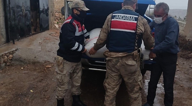 Antep fıstığı hırsızı tutuklandı