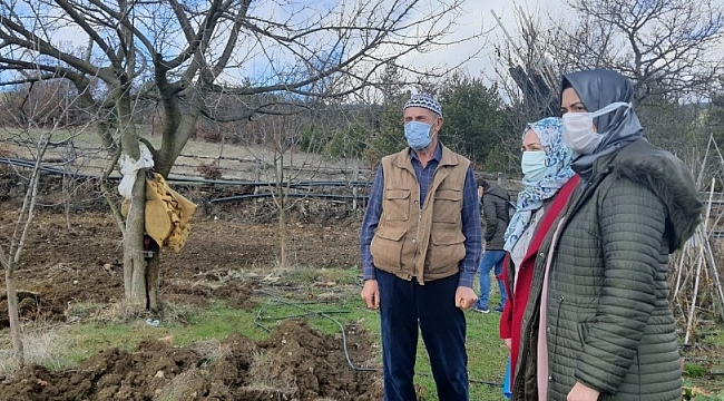 Antioksidan kaynağı meyve 'Aronya' artık Bilecik'te de yetişecek