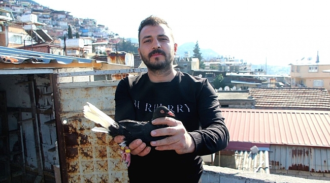 Babadan miras güvercin sevdası
