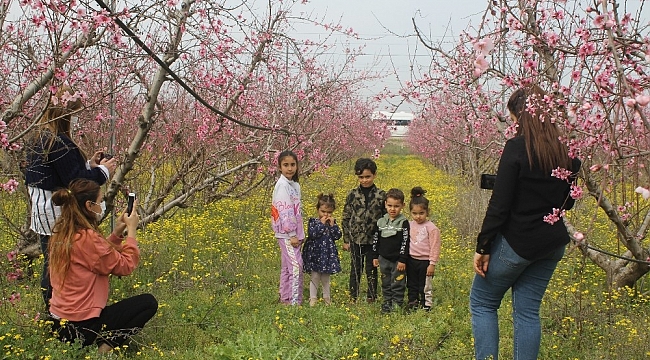 Badem ağaçları çiçek açtı vatandaşlar bahçelere akın etti