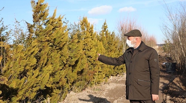 Başkan Çolakbayrakdar: "Yemyeşil bir Kocasinan inşa ediyoruz"
