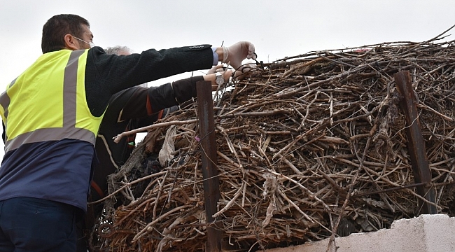 Başkan ve profesör leylekler için belediye binasının çatısına çıktı