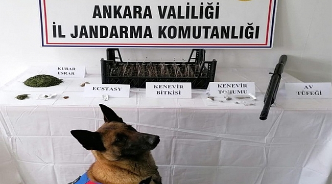Başkent'te uyuşturucu operasyonları: 21 gram uyuşturucu ele geçirildi