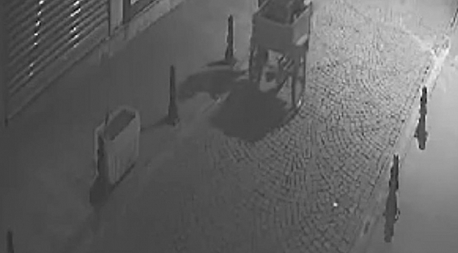 Batman'da demir dubaları çalan hırsızlar güvenlik kamerasına yakalandı