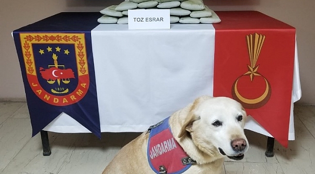 Batman'da kullanıma hazır 8 kilo 600 gram toz esrar yakalandı