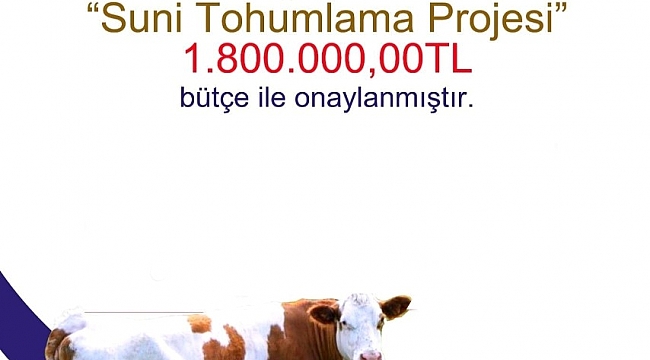 Bayburt'ta "Suni Tohumlama Projesi" için 1 milyon 800 bin TL'lik bütçe onaylandı