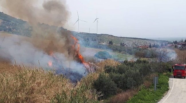 Belen'de otluk ve çalılık yangını