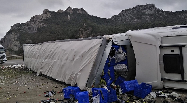 Bilecik'te sebze yüklü tır devrildi: 1 yaralı
