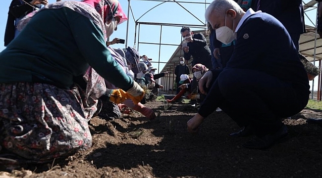 Binali Yıldırım, önce lavanta dikti ardından 4 leylek ve 1 şahini doğal yaşam alanına bıraktı