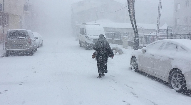 Bingöl Karlıova'da tipi etkili oldu, 86 köy yolu ulaşıma kapandı