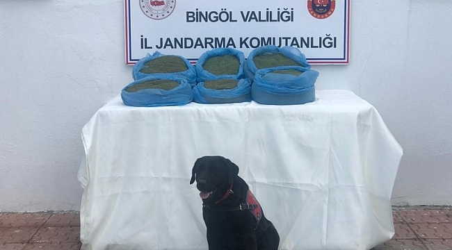 Bingöl'de 58 kilo uyuşturucu ele geçirildi, 22 şüpheli hakkında işlem yapıldı