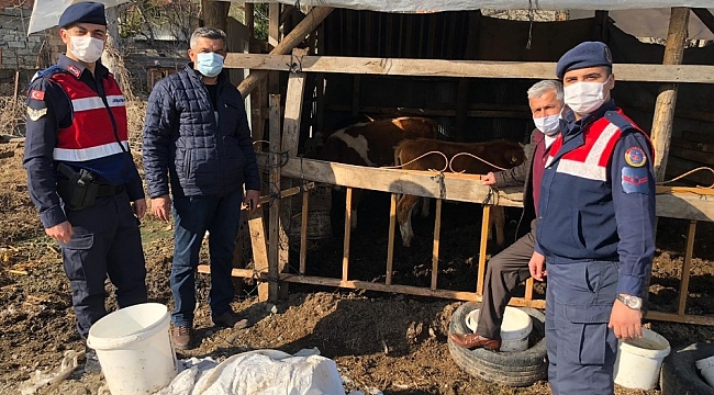 Bir aydır kayıp olan hayvanlarını jandarma drone ile buldu
