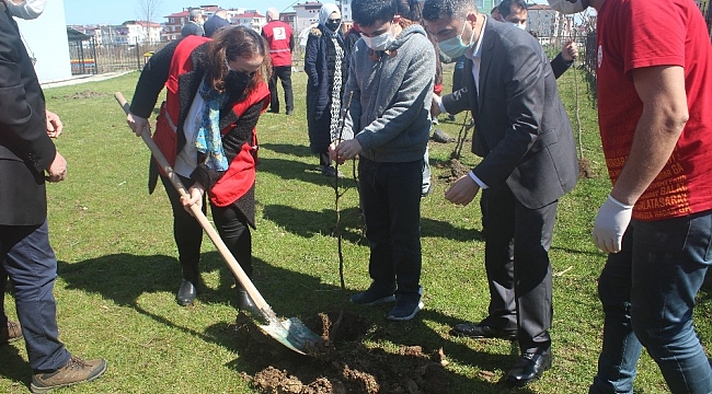 Bugünden yarına bir meyve