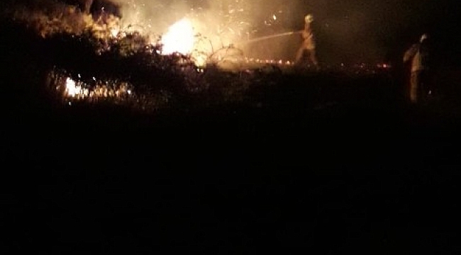 Burhaniye'de meydana gelen kıyı yangınını itfaiye söndürdü