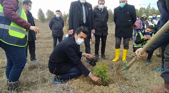Daday'da 200 üryani eriği toprakla buluştu