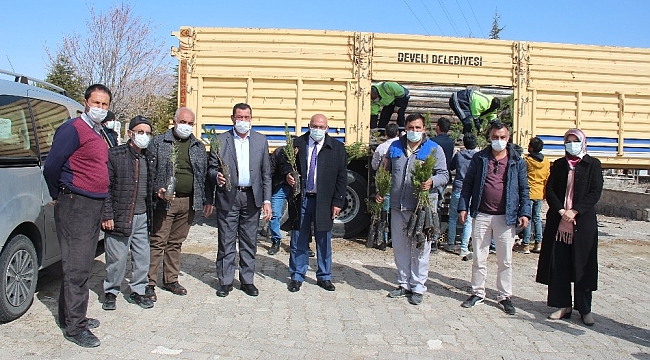 Develi'de 30 bin fidan dağıtıldı