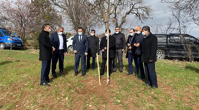 Dinar'da deneme amaçlı kestane fidanı dikildi