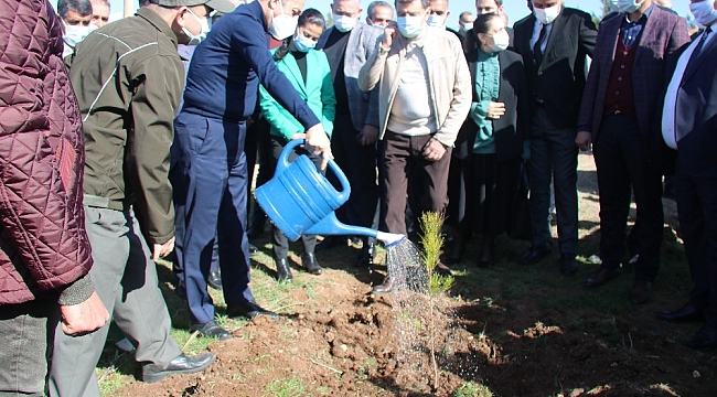 Diyarbakır hipodromu 44 bin ağaçla yeşillendirildi