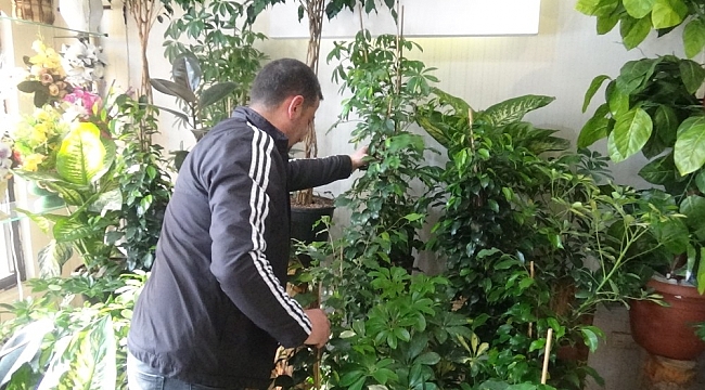 Düğün salonlarının açılması en çok çiçekçileri sevindirdi