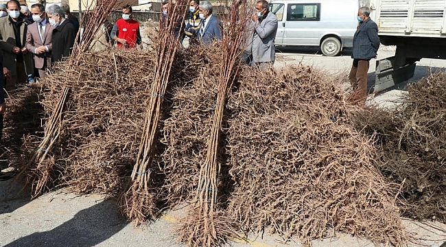 Elazığ'da "Meyveciliği Geliştirme" projesi, 13 bin fidan dağıtıldı